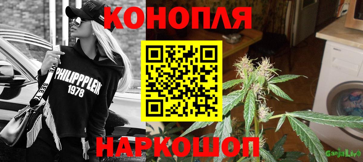 Конопля планчик  Вход с VPN  Заводоуковск  Бошки Шишки OG Kush 